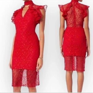 Alexis Halley lace cocktail dress
